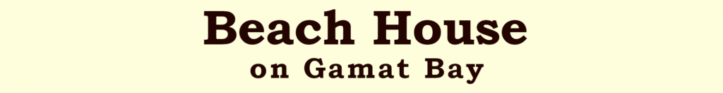 Beach House on the ocean on Gamat Bay